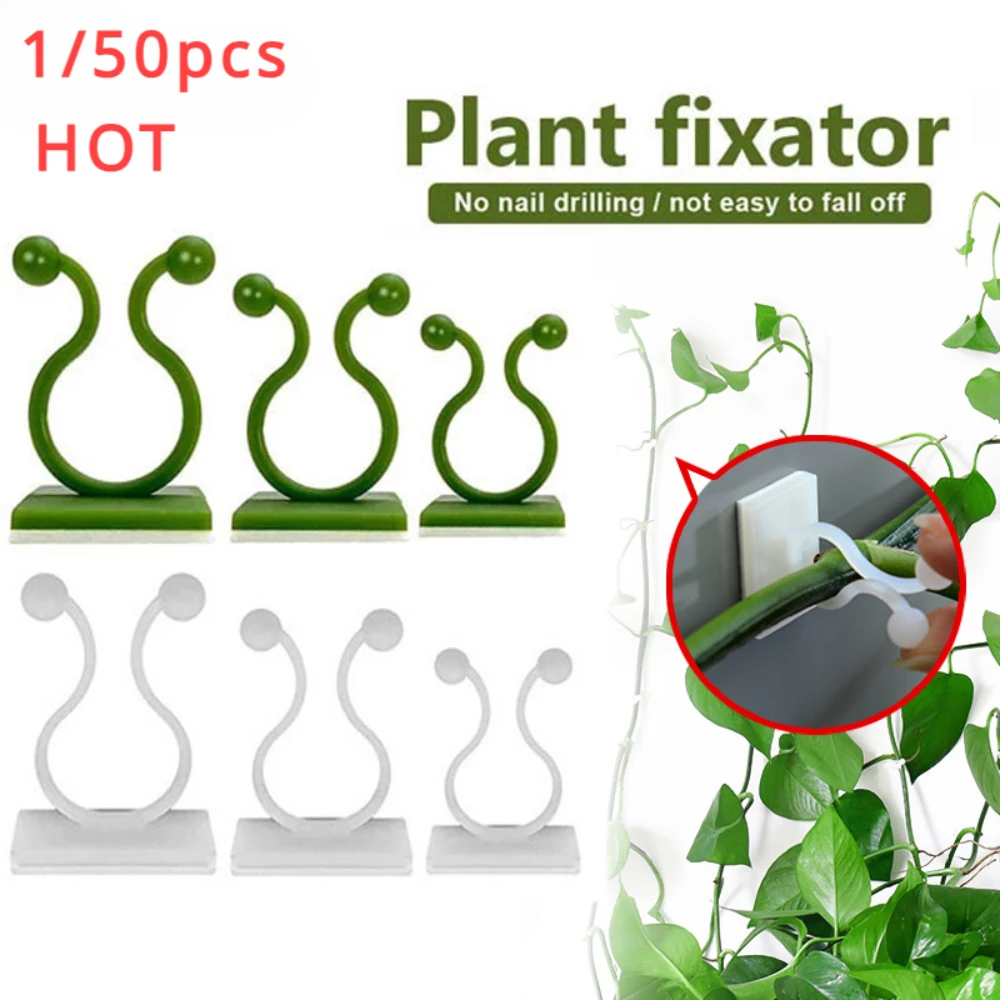 Plant Support Stake - 1/30/50 sztuk na akcesoria ogrodowe rośliny