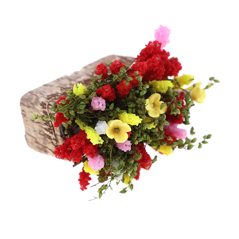 1 szt. Mini krzew kwiatowy min – Terracotta Pot recenzja i cena