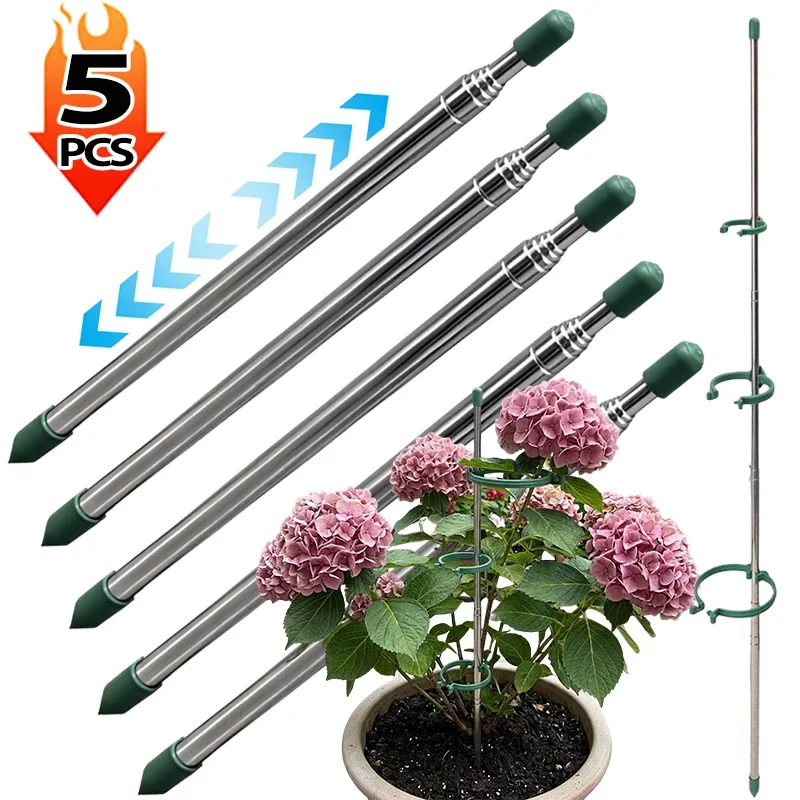 5/1 SZT. Wysuwane pierścienie  – Plant Support Stake recenzja i cena