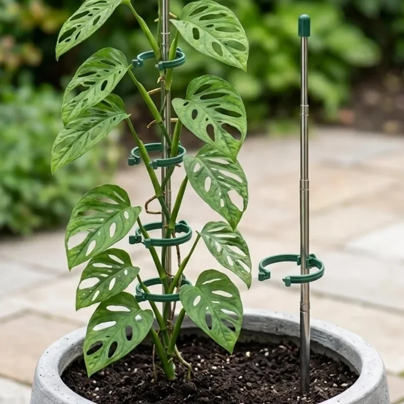 5/1 SZT. Wysuwane pierścienie  – Plant Support Stake recenzja i cena