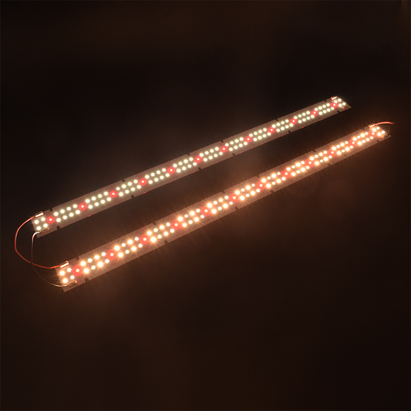 Wysokiej jakości lampa LED COB – Indoor Plants recenzja i cena
