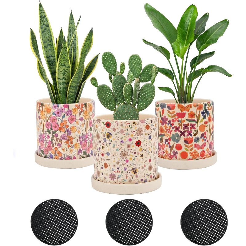 3 sztuki ceramicznych doniczek – Snake Plant Ceramic recenzja i cena